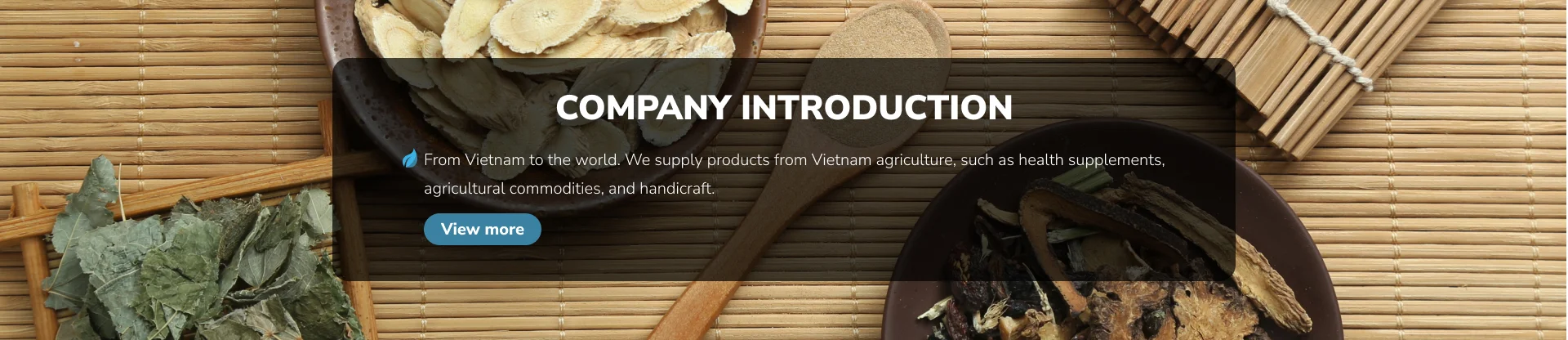 Company Introduction.png