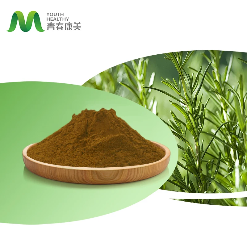 High Quality Food Grade Rosemary Herb Extract Powder 3% Rosmarinic Acid 98%