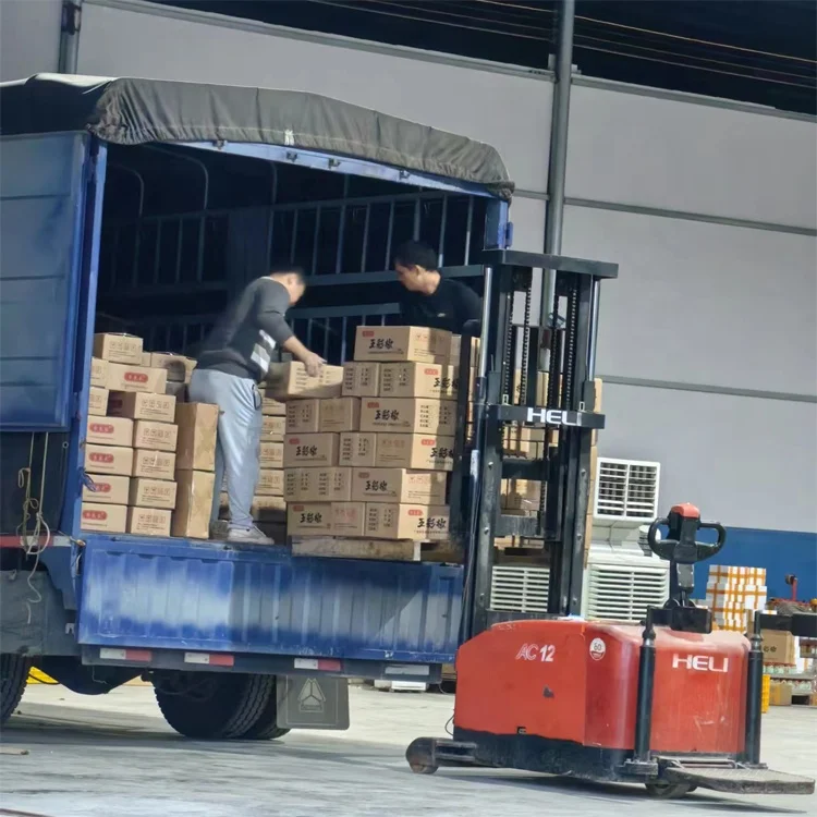 Top quality spicy pickled salted preserved lemon kitchen seasoning