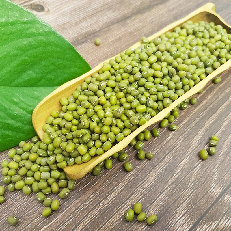 Wholesale Small Size 2.6mm-3.5mm High Quality Green Vigna Mung Beans
