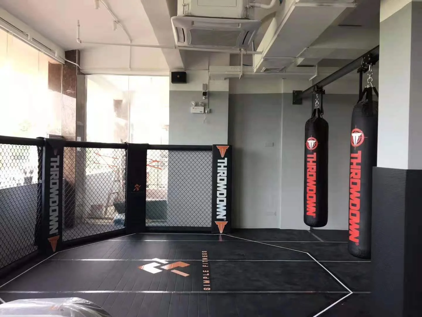 Boxing Cage Cost-effective International MMA Octagon Boxing Cage for Sale
