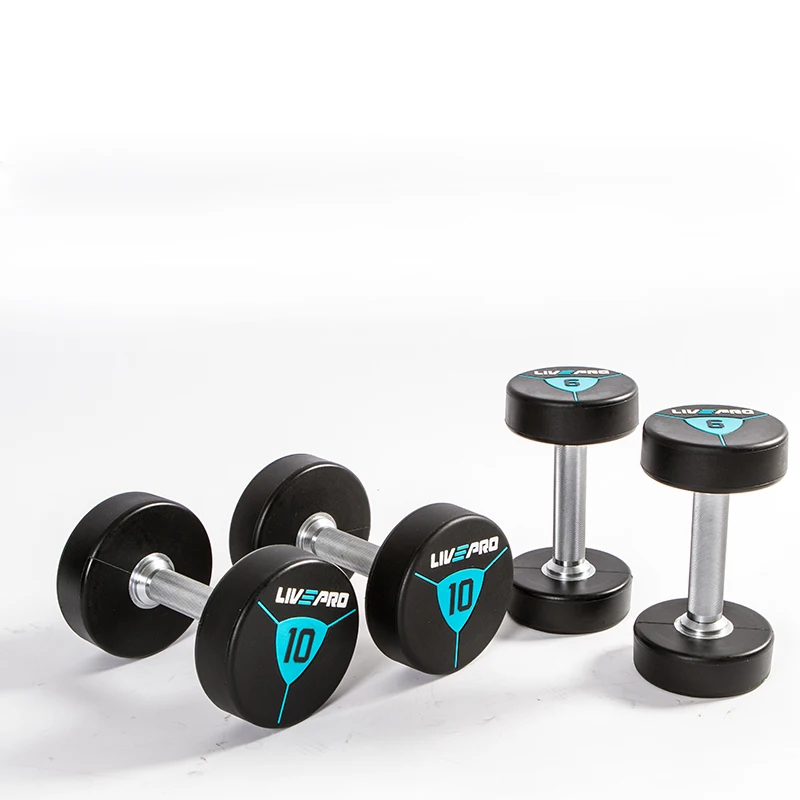 Gym Equipment Urethane Dumbbell Set Free Weights Custom Fixed CPU Dumbbells