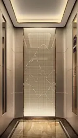 Fuji Residential Home Elevator Safety Lift Panoramic Glass Large Capacity Titanium Stainless Steel Passenger Elevator