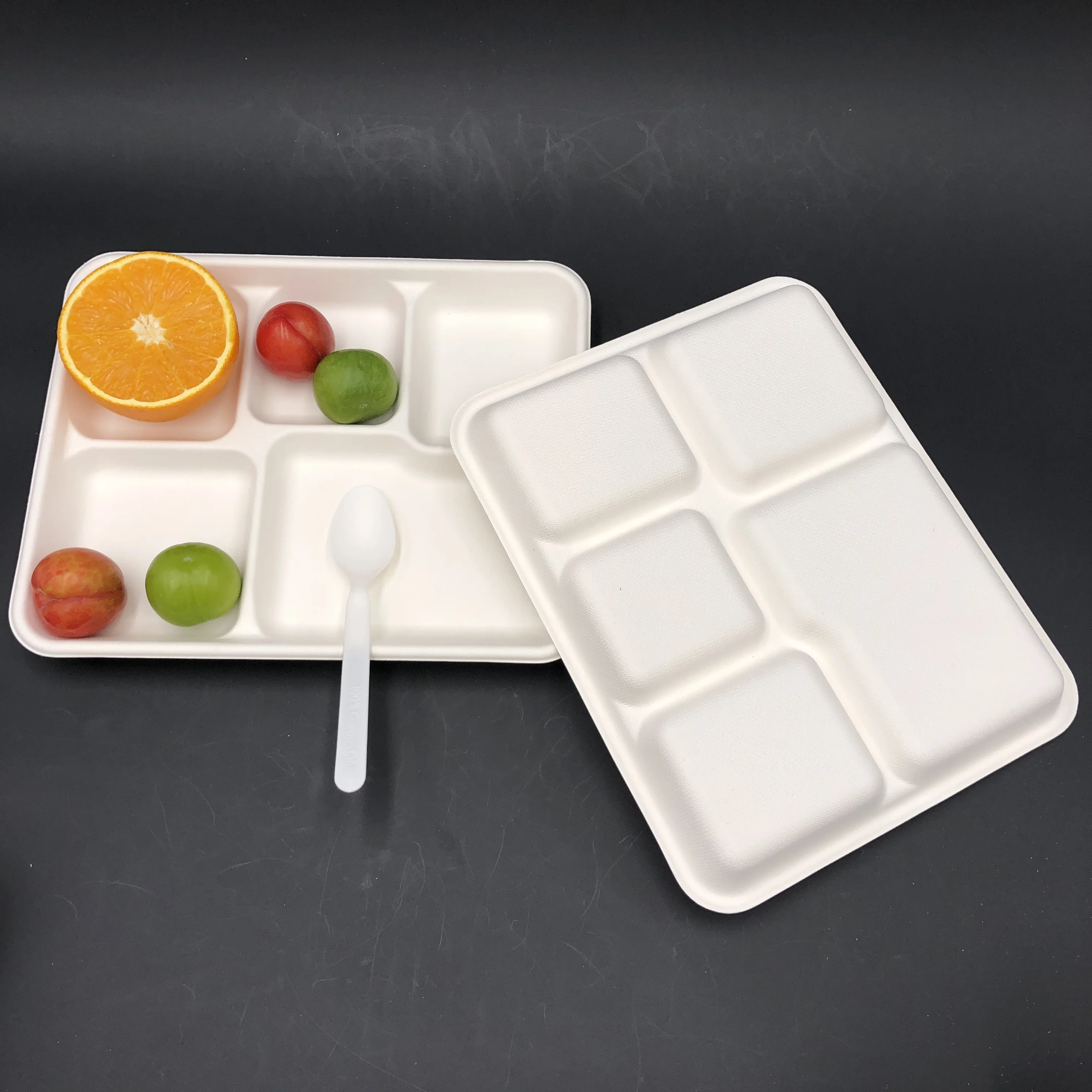 eco friendly takeaway food packaging compostable sugarcane bagasse product 100 biodegradable disposable tableware