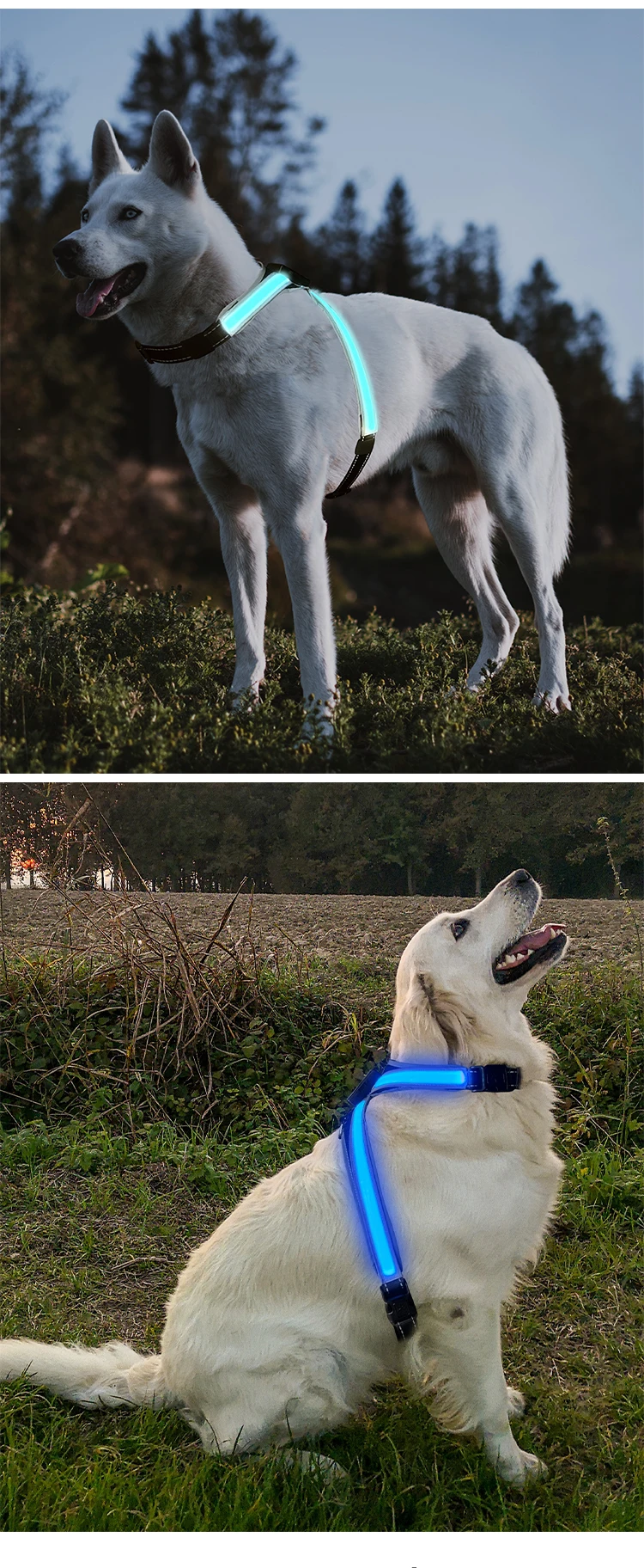 8 Colors Rechargeable LED Pet Collar Keep Your Dog Safe And Visible At Night With Flashing Lights Suitable For Medium Large Dog
