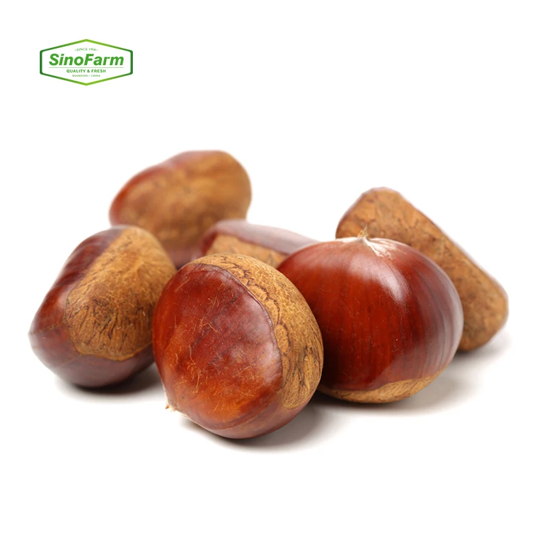 2024 New Harvest Fresh Chestnuts China Farm Direct Sale Cheap Price Chestnuts for sale