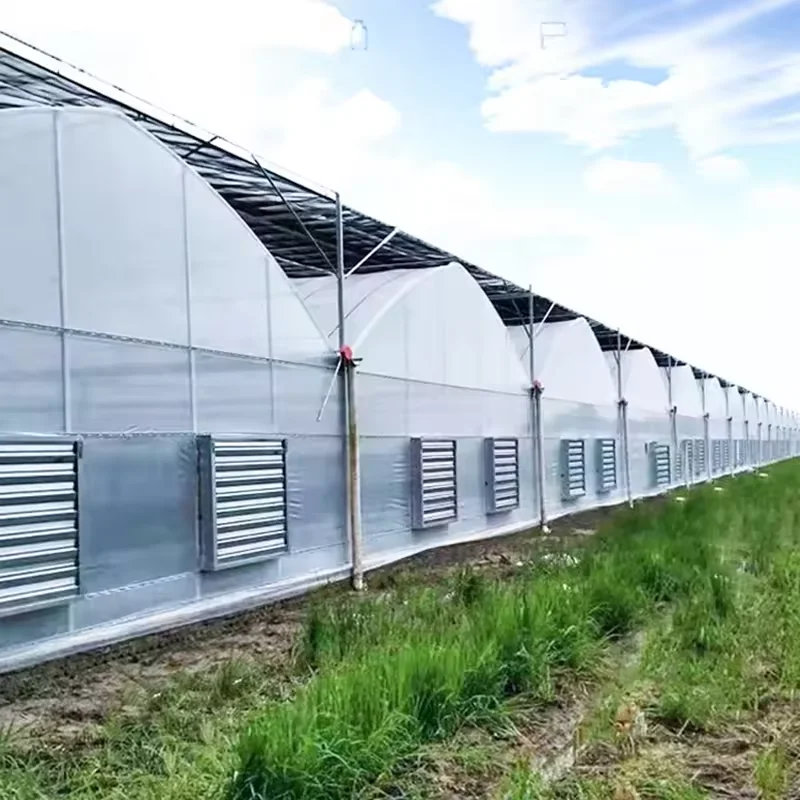 Сельскохозяйственные теплицы поликарбонатные листовые 10 мм для продажи
