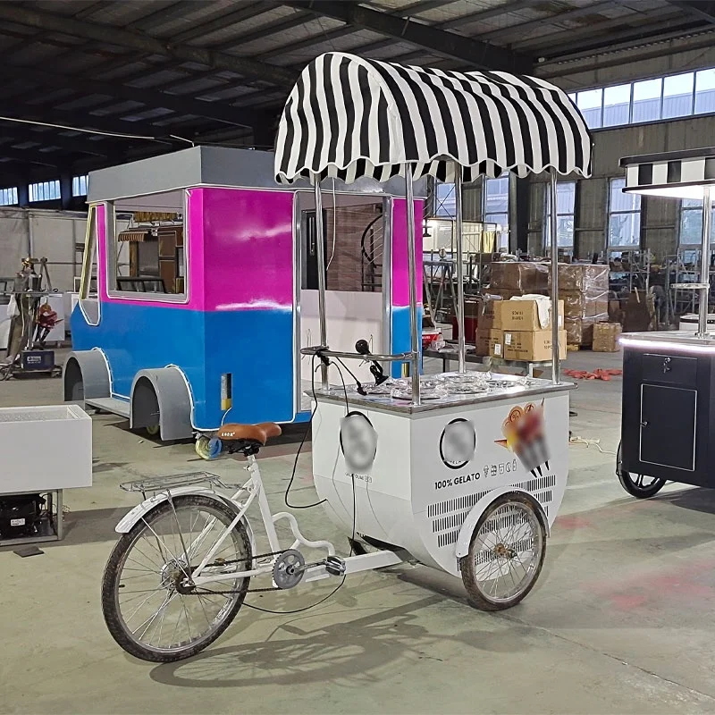 Hot Sale Electric Ice Cream Cargo Bike, Mini Food Refrigeration Bike, Ice Cream Mobile Bike Bicycle Cart for Selling Fruit