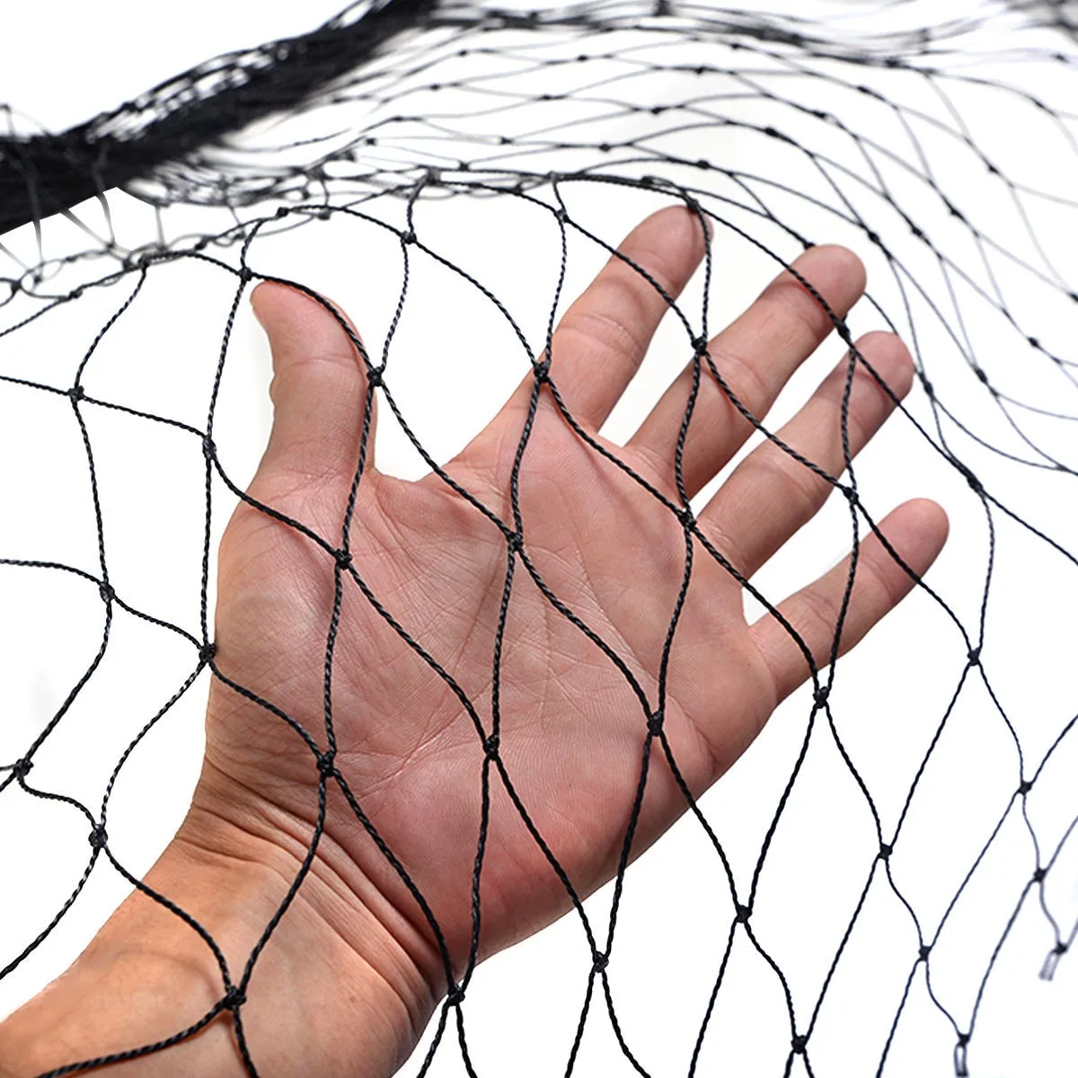 Heavy Black  Anti-Bird Net hdpe Fishing Net  Fruit Trees Protective Net