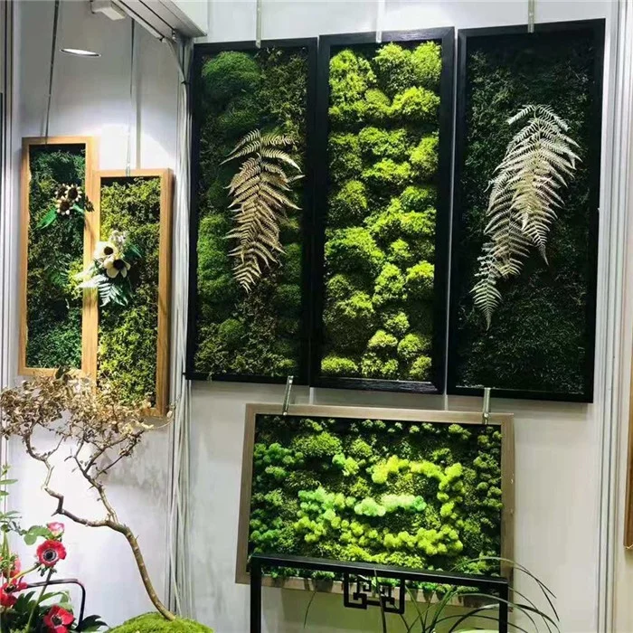 wholesale decorative green moss balls high quality natural preserved reindeer moss wall hanging frame for wall decor