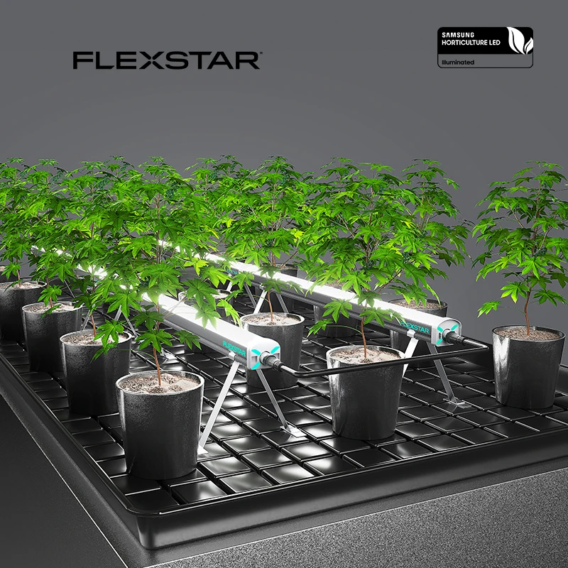 Customized Commercial LED Plant Grow Light Bar Under Canopy Grow Light 120W 160W for Crop Higher Yields