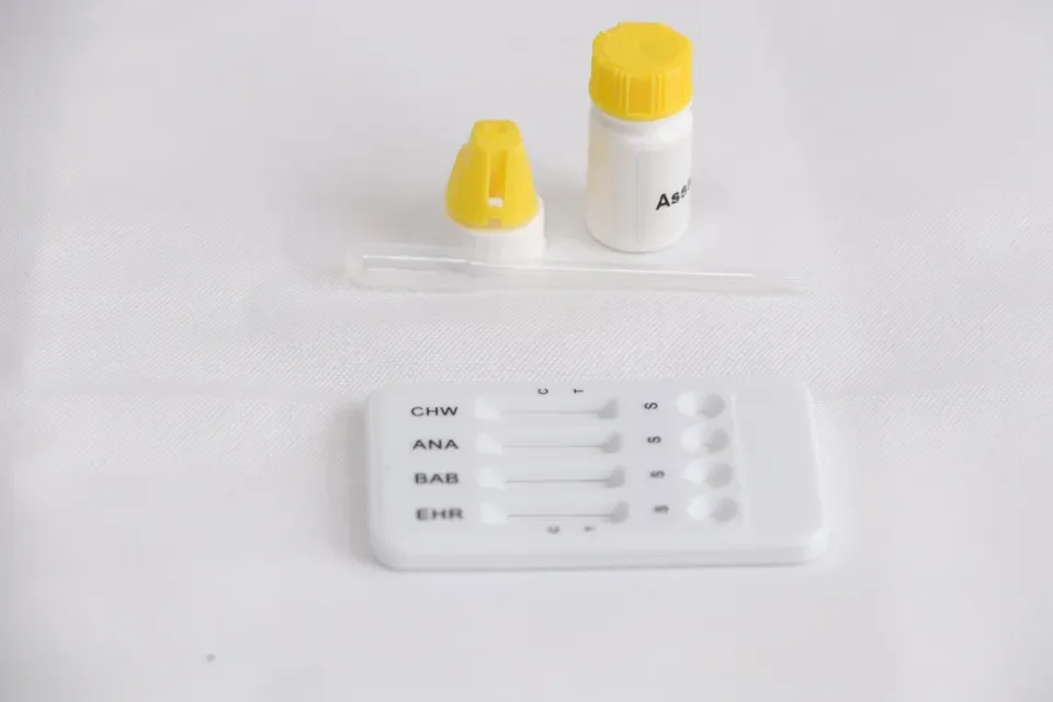 Fast testing result EHR-ANA-BAB test kits for for veterinary use