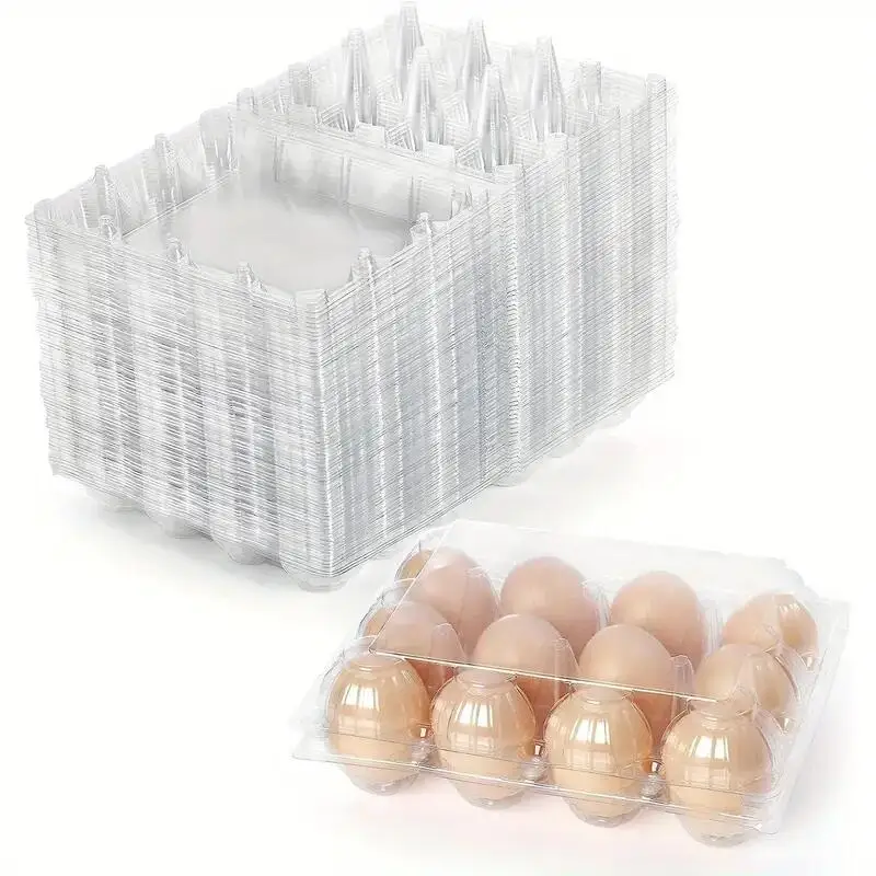 Customized 4 6 8 10 12 15 20 30 Transparent Shockproof Plastic Egg Packaging Disposable Transparent Plastic Egg Tray Reusable