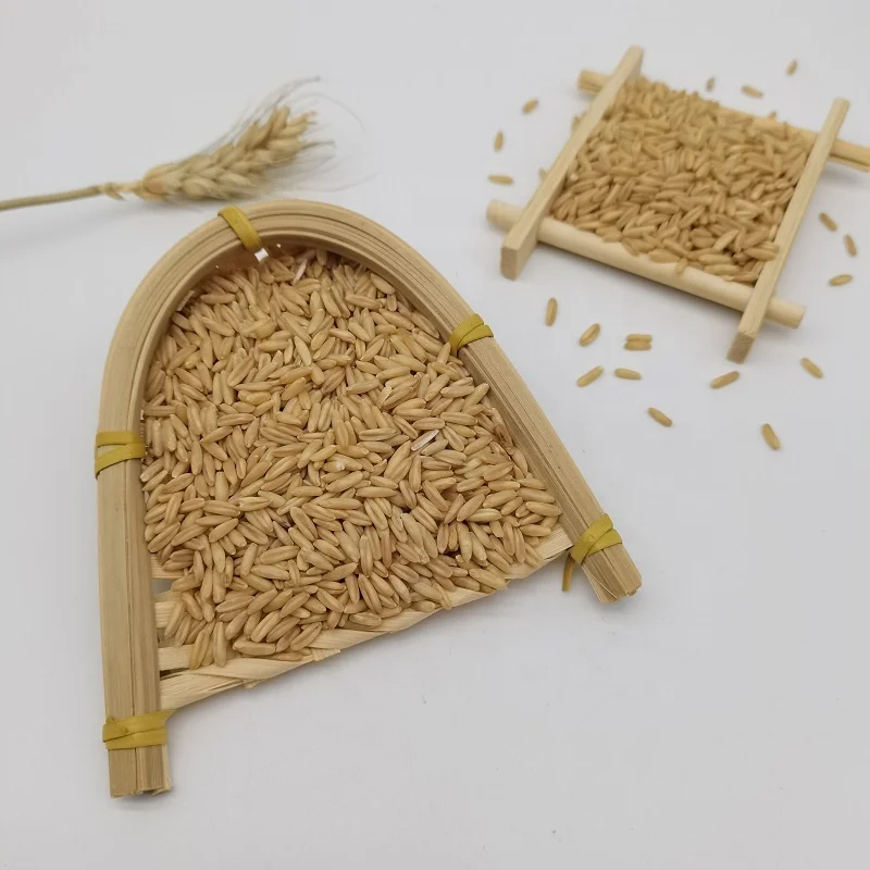 China Top Quality Wholesale Oat Groats/Oats Grain/Oat Without Shell for Sale at Cheapest