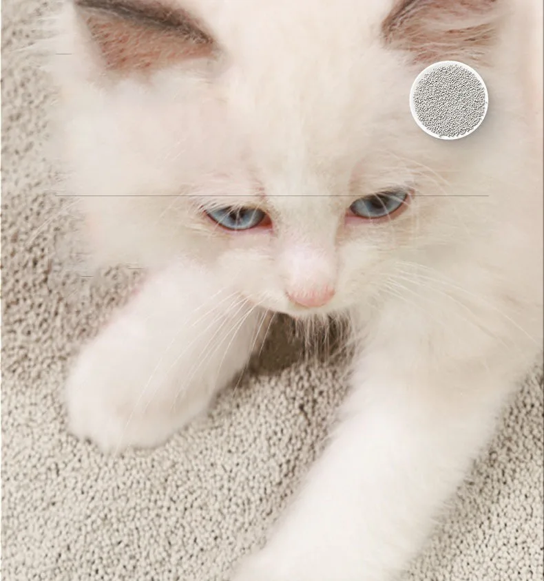 Best price bentonite buy cat litter sand covered deodorizer