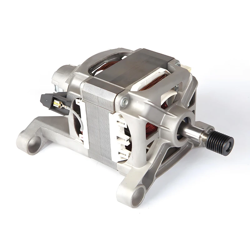 Customized Vegetable Cutter Motor Brushless Twin Tub Dc Washing Machine Motor Factory Wholesale