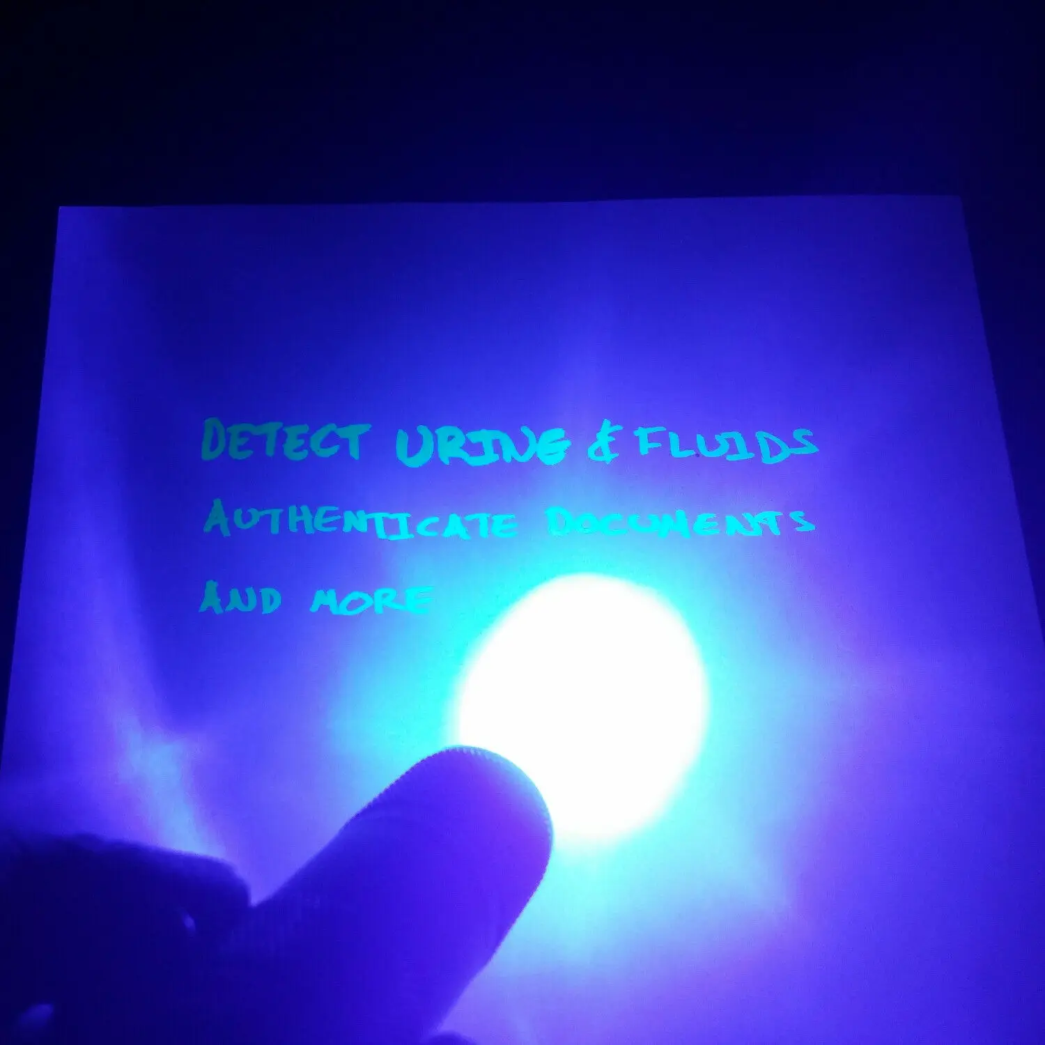 Currency Detector UV flashlight UV light 9LED Aluminum Pocke Ultraviolet Blacklight 395nm find scorpion Urine & Bodily