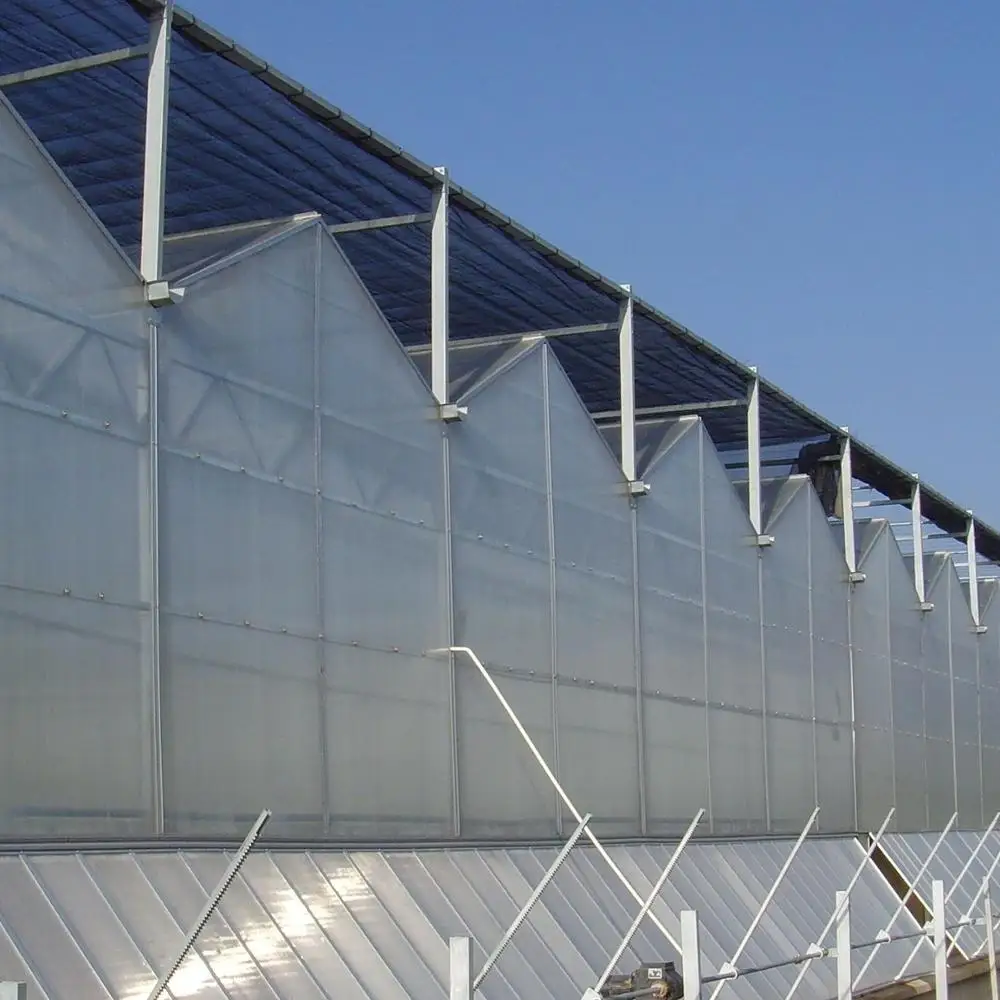 Good Price Agricultural Polycarbonate Plastic Board PC Sheet Greenhouse with Customized Hydroponic Design