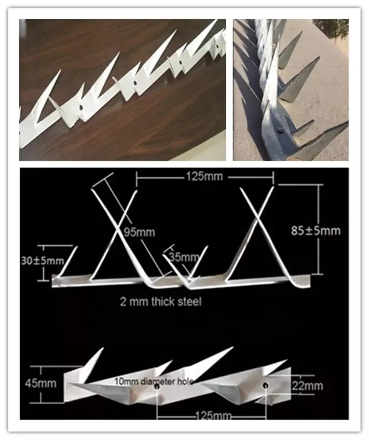 Anti Climb Wall Razor Spike Wall Spike Middle Wall Spikes