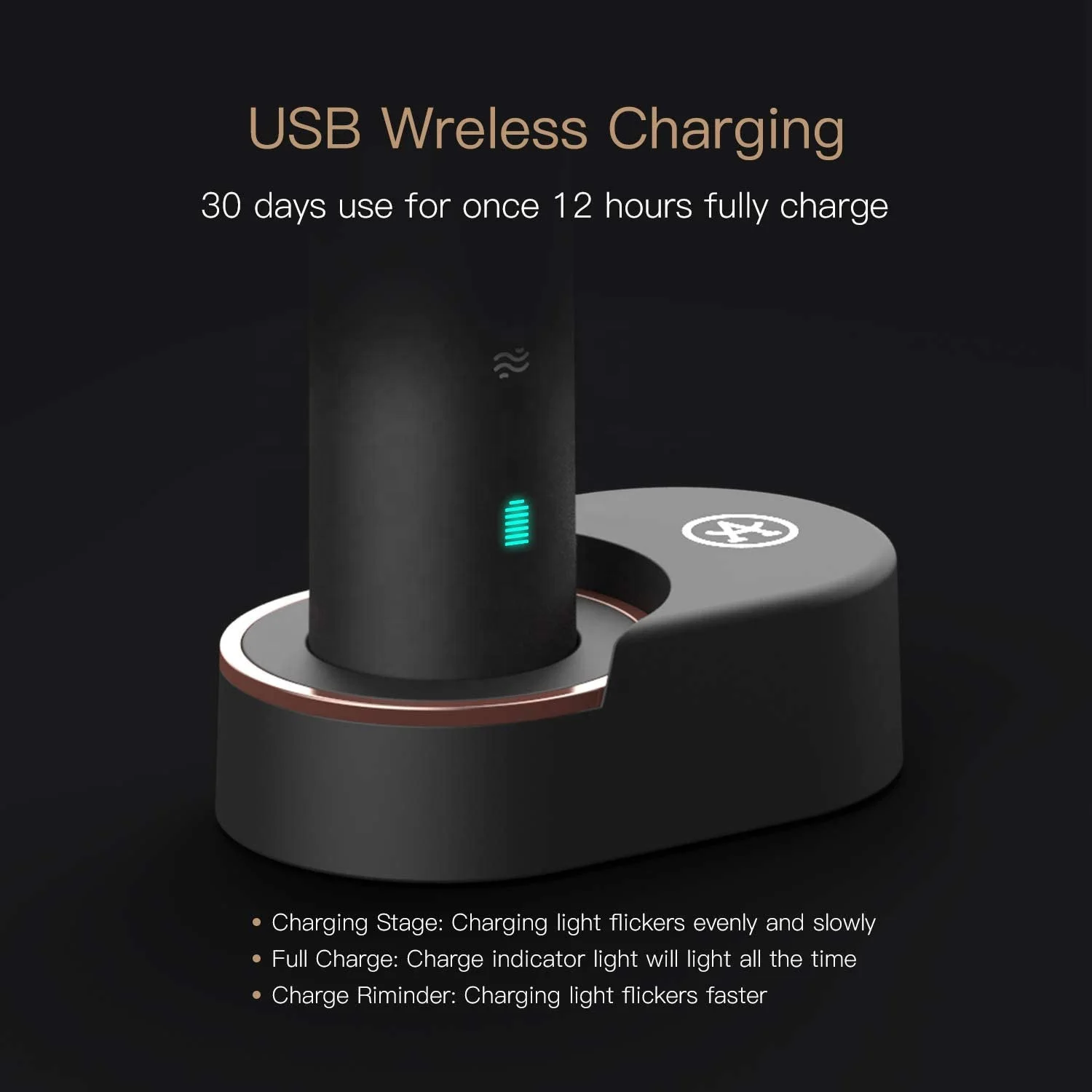 Ultrasonic Trendy 2022 new Private Label Wireless charging Electric Toothbrushes for adult Pure Black