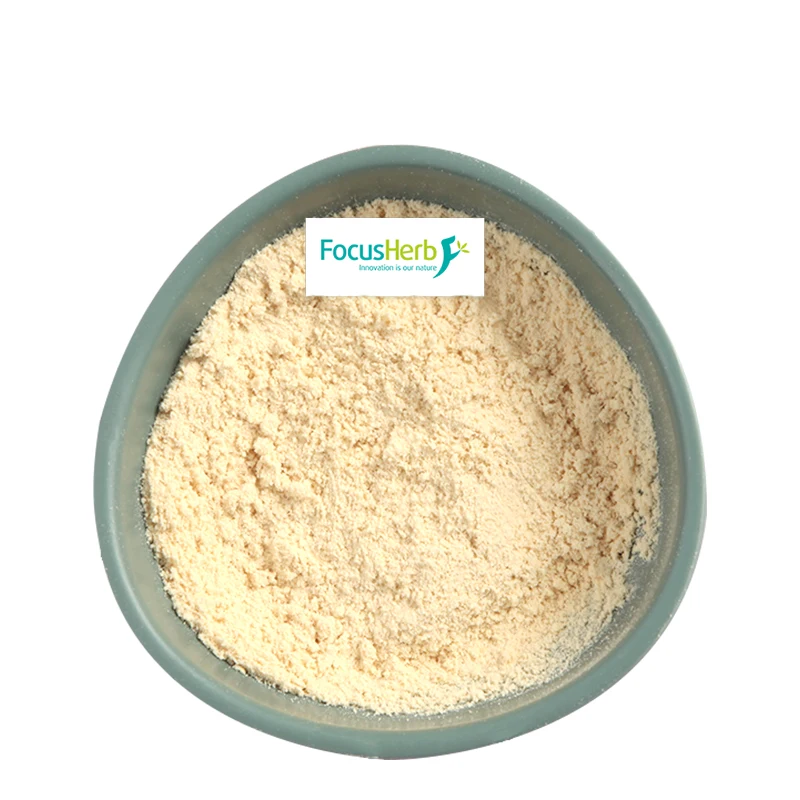 
Organic Vegan Protein Concentrate Powder Organic Brown Rice Protein Powder 
