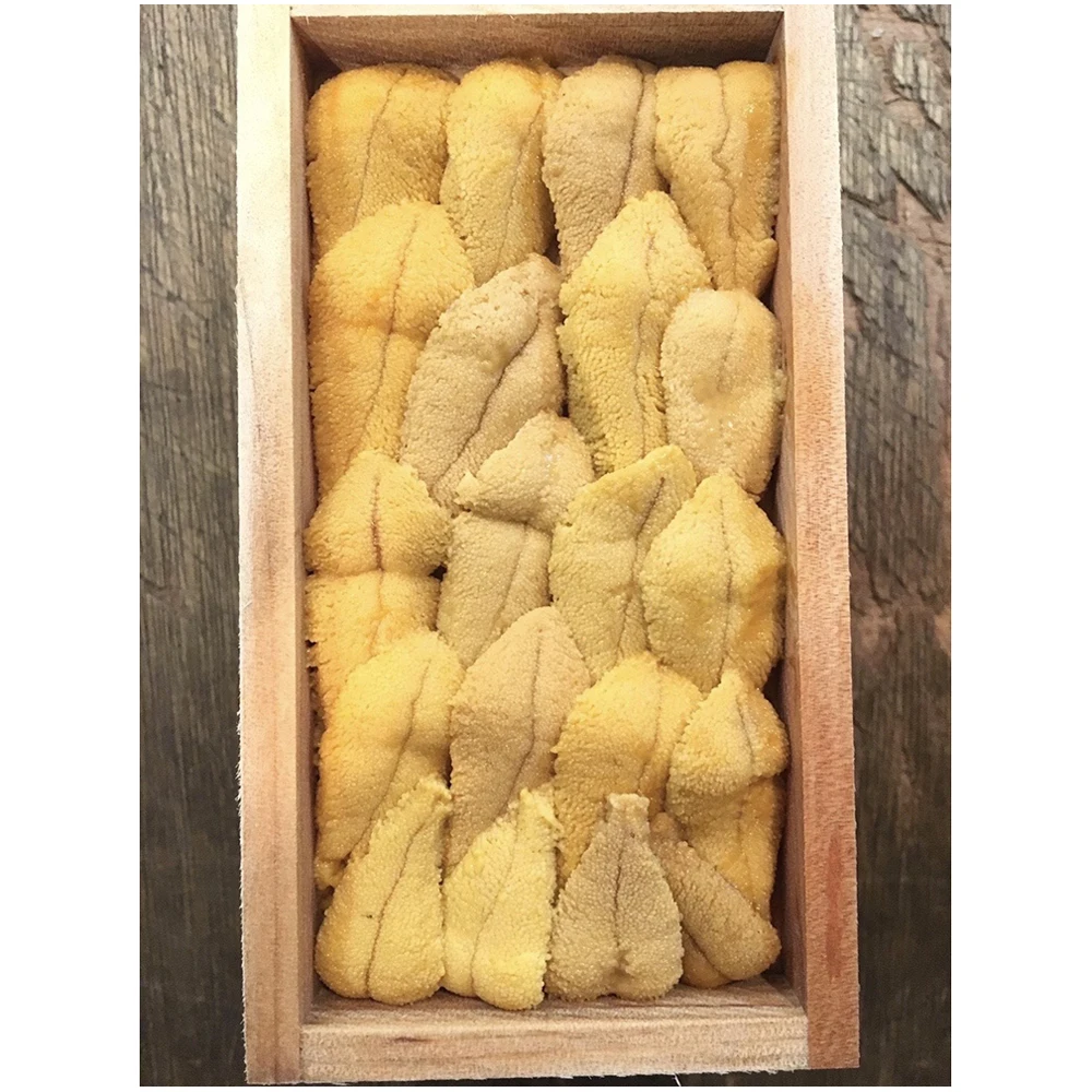 
Reasonable carefully select highly fresh just-caught red sea urchin 