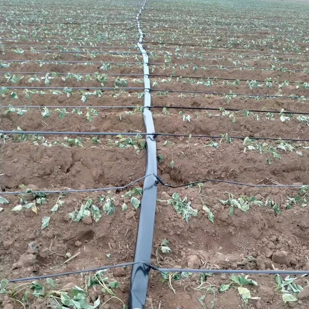 2023 Flat Hose Price Manufacture & Supplier water hose pipe other watering & irrigation