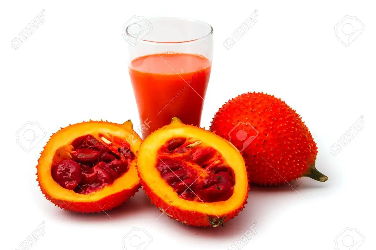 Natural Gac fruit juice concentrated - Gac of Life Brand name Mekong Herbals made in Vietnam