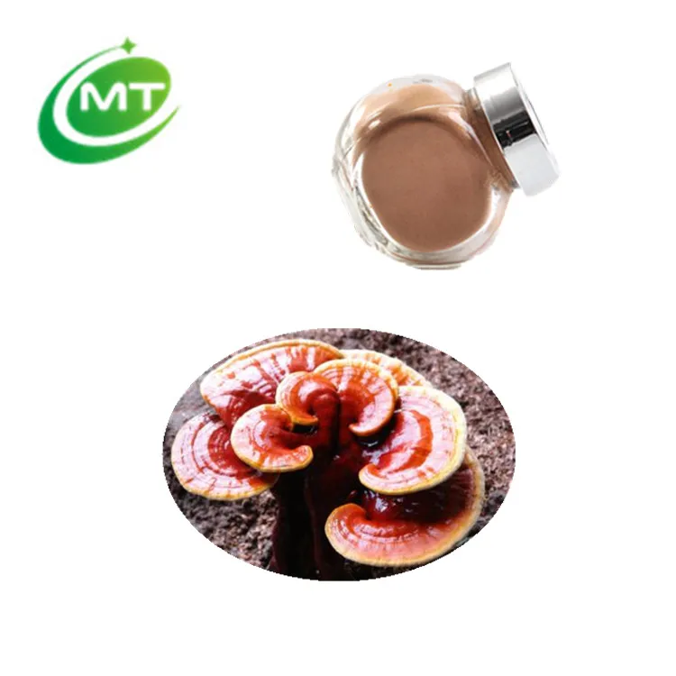 Чистый органический порошок экстракта грибов рейши