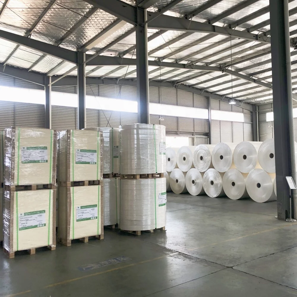 China manufacturer white per ton raw jumbo roll virgin pe coated recycled wrapping paper roll