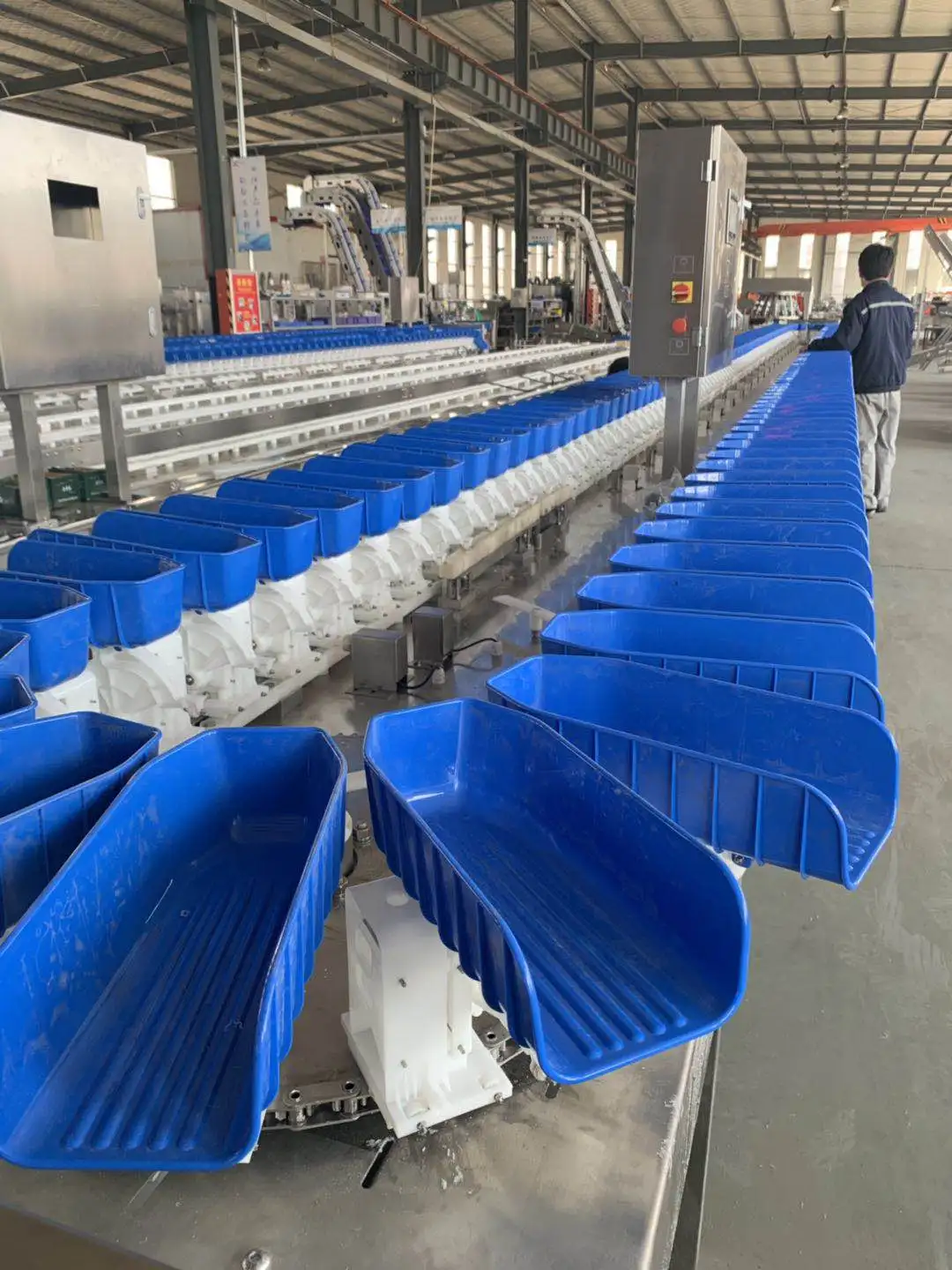 Frozen chicken drumsticks sorting machine sea cucumber oyster grading machine for sale