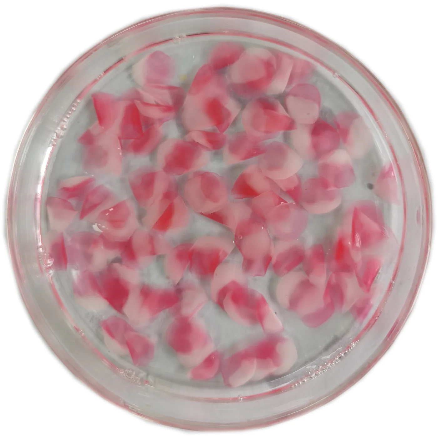 
PETALS Red 105D04 S2 