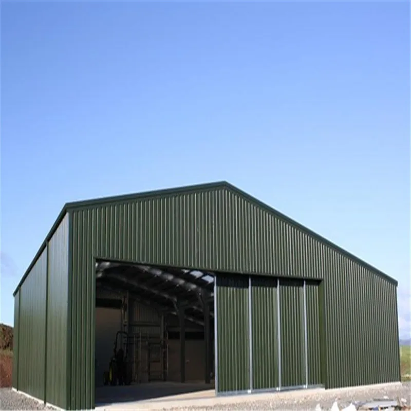 Large Span Portal Frame Steel Structure Airplane and Aircraft Hangar