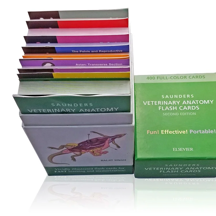 Custom Printing veterinary Anatomy Flash Cards  Extra Large Educational customized only