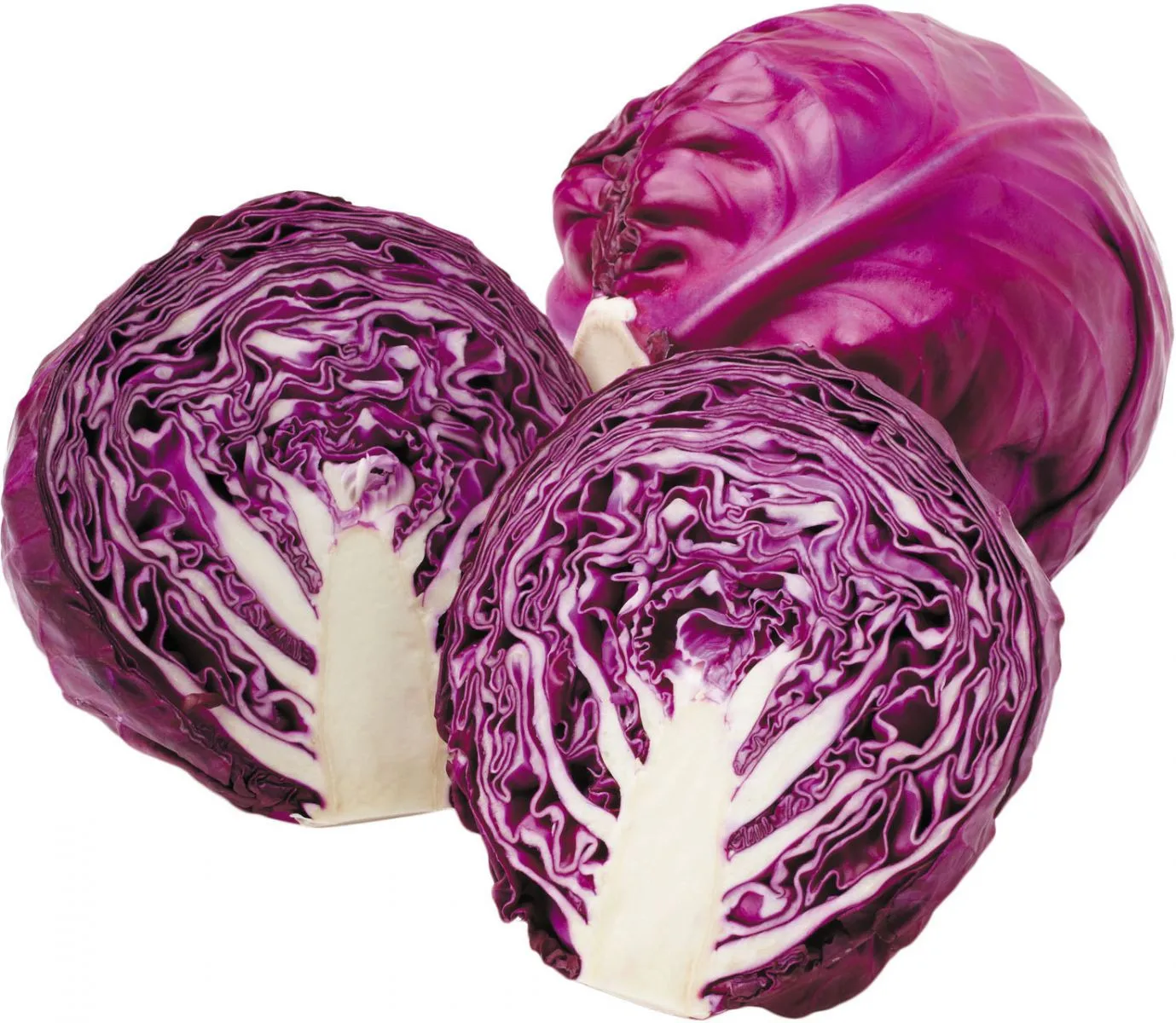 Fresh Vegetable Fresh Purple Cabbage