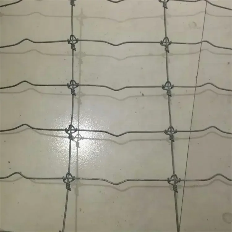 Reinforced Steel Calf Cages Calf Hutches and House for Cattle with Low Maintenance Wire Gate for Daily Farm Feeding Animals