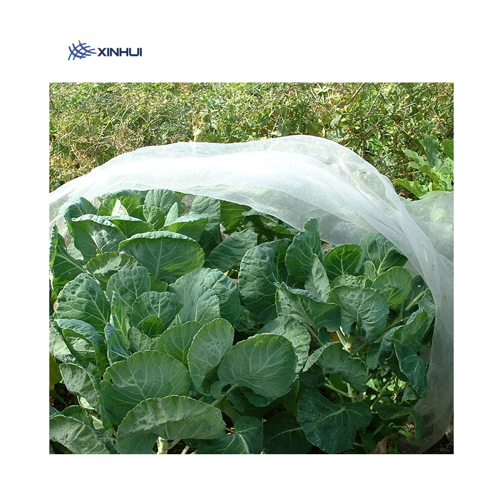 Fruit Trees 4 x 5 m Cherry Vinegar Fly Net Protection Against insect net