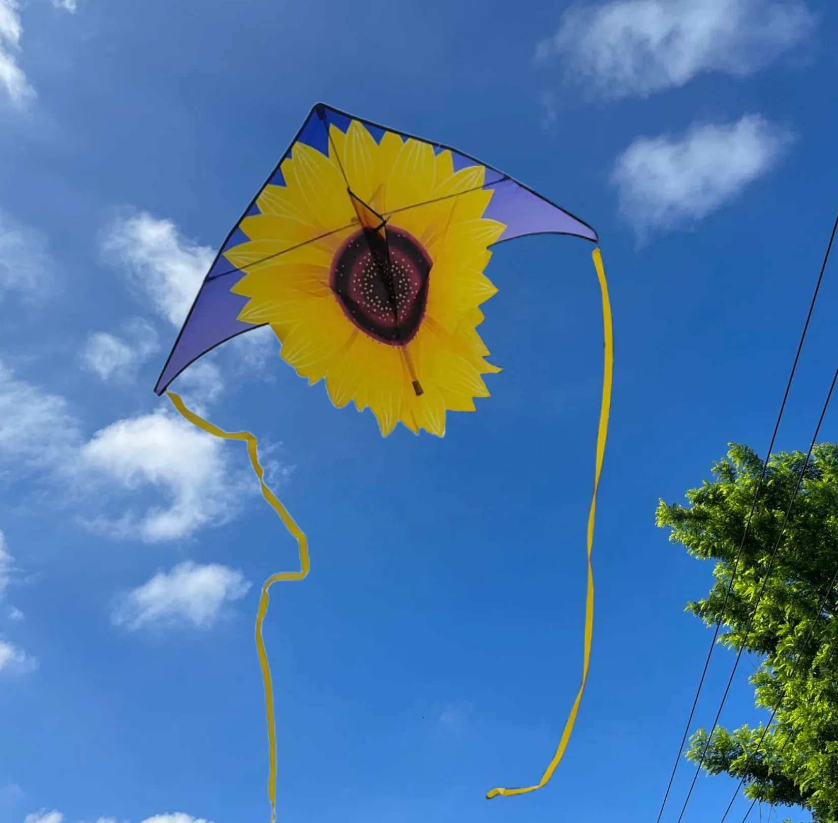Wholesale Polyester Fabric Kite Cloth Delta Shape With Good Quality