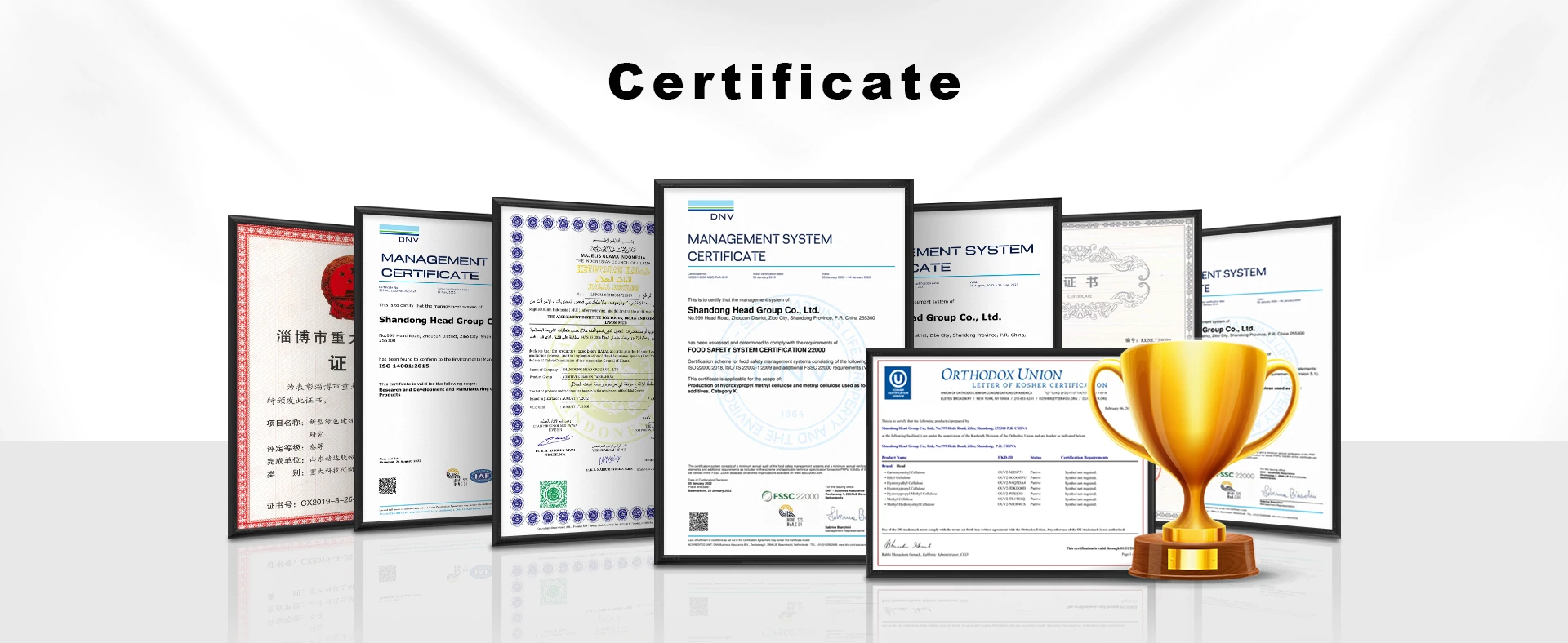 High Viscosity CMC Powder Food Grade Thickener CAS9004-32-4 Sodium Carboxymethyl Cellulose