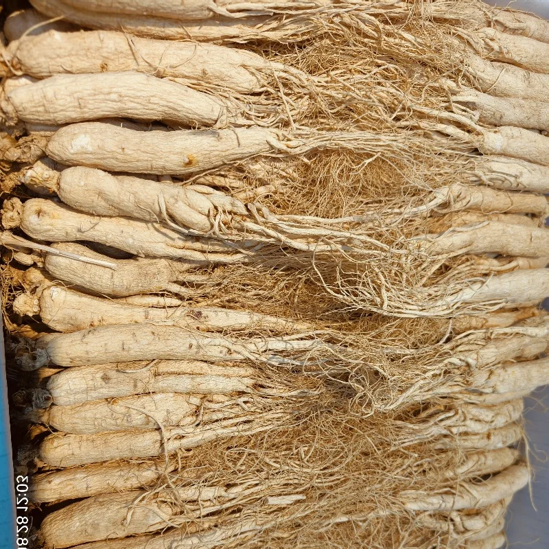 High Quality 6-Year Dried Panax Ginseng Root Premium Single Spices & Herbs Raw Processing Air-Dried