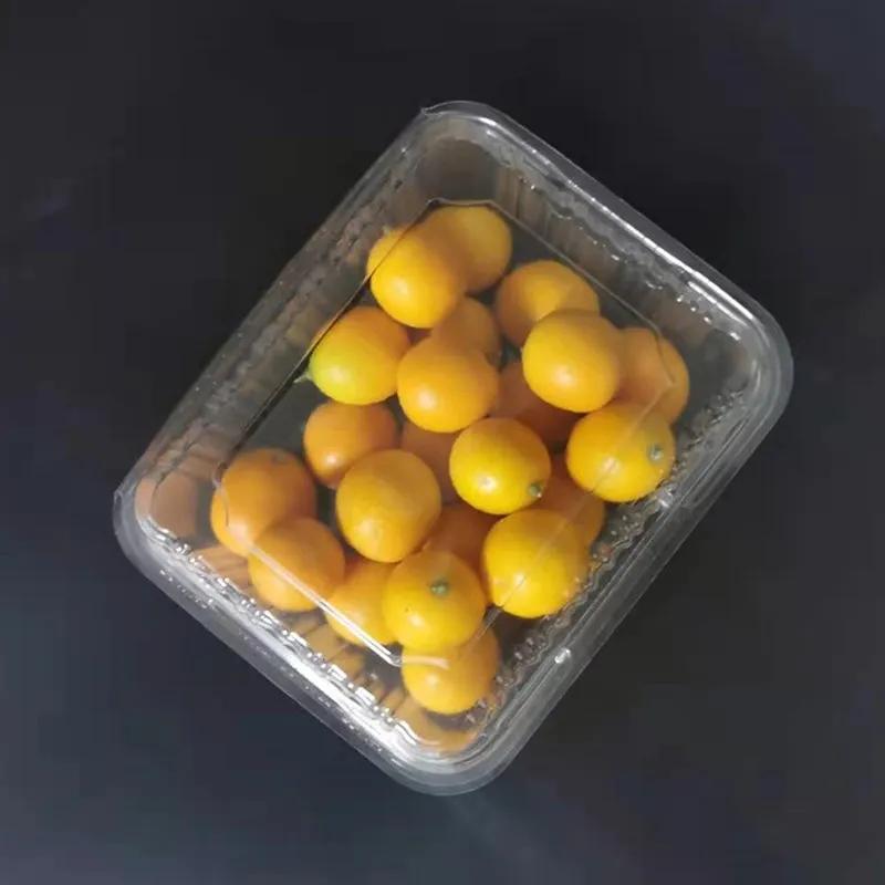  Одноразовые пластиковые коробки для торта черники