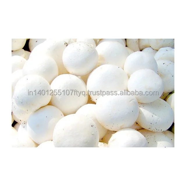 
IQF Button Mushroom Agaricus bisporus Whole Wholesale Bulk Vegetables Manufacturers Supply Natural 
