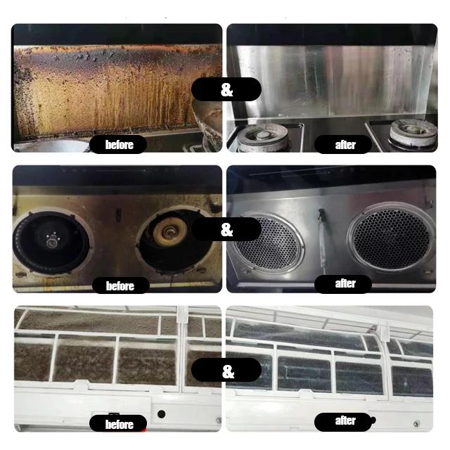 Multi-purpose  powerful dry wet steamer chemical free Disinfection high pressure steam cleaner with ozone pulse function