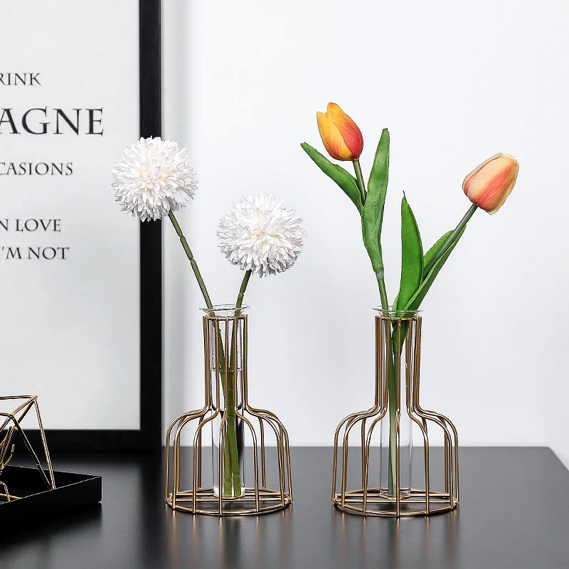 
Golden Frame Glass Vase Hydroponic Plant Vase Home Decoration Iron Art Vase Gardening Supplies 