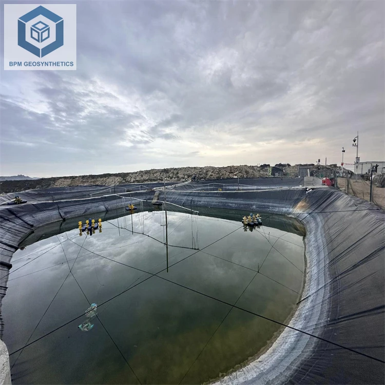Pond Membrane Liner High Density Pond Liner for Aquaculture Shrimp in Ecuador