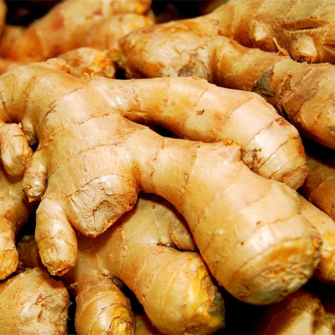 Hot Sale pure plant body massage ginger Oil essential oil soothing body SPA and pain relief essential oil