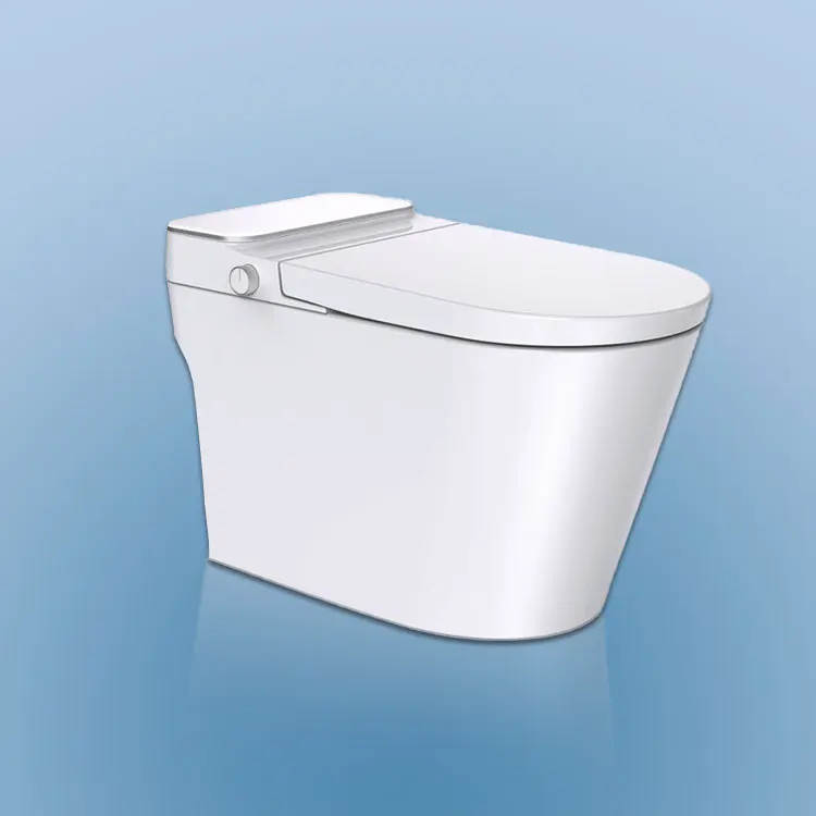 Wholesale High Quality Automatic Bathroom Chinese Wc Floor Mounting Smart Siphon One Piece Toilet