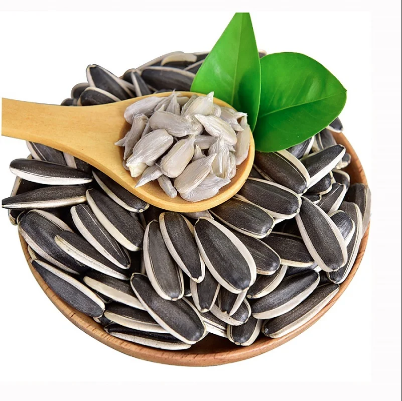 sunflower seeds 363 inner mongolia factory chinese 2022 NEW CROP