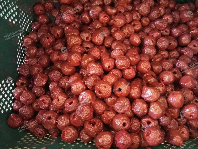 CL-I Apricot Coring Machine Stoner Litchi Prune Plum