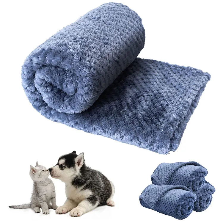 China factory polyester soft warm doggy kitten fleece throw blanket